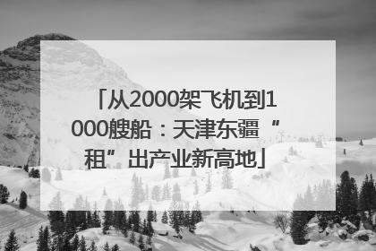 从2000架飞机到1000艘船：天津东疆“租”出产业新高地